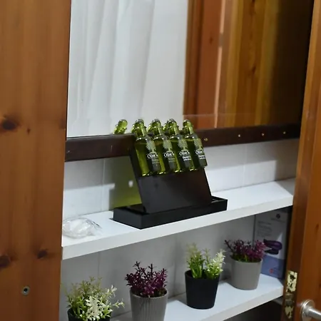 Oceanis Apartment Skiathos-Stadt
